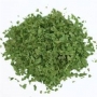 parsley- dry leaf 
