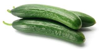 cucumber, Libanese-1