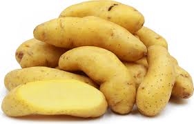 potato, Fingerling-1