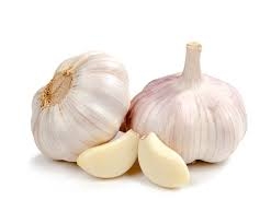 garlic-1