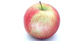 apple, Lobo (bagged)-1