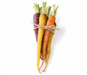 carotte nantaise, multicolore-1