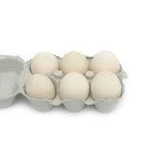 duck eggs (not certified organic)-1