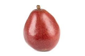 pear, d'anjou red-1