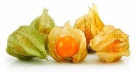 ground cherry-1