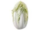 cabbage, Nappa-1