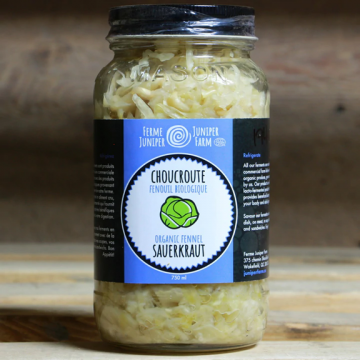 choucroute, fenouil-1