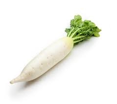 radish, daikon-1