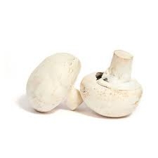 mushroom,  white-1