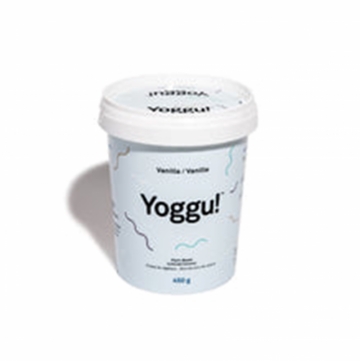 Yogourt végétalien, vanille-1