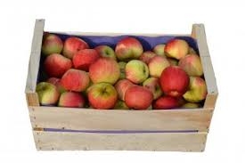 apple Spartan (35 pounds)-1