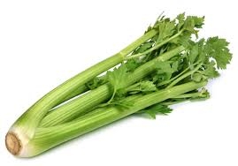 celery-1