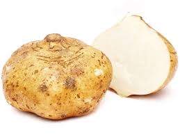 jicama-1
