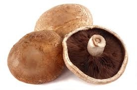 mushroom, Portobello-1