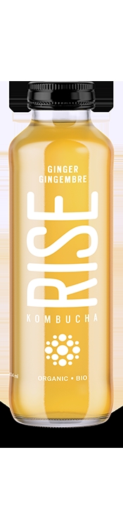 kombucha ginger-1