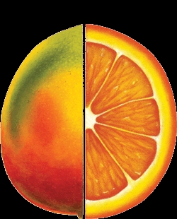 jus mangue orange-1