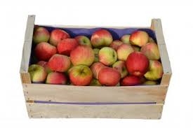 apple Cortland (35 pounds)-1