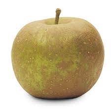 apple, russet-1