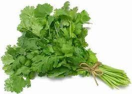 cilantro, local-1