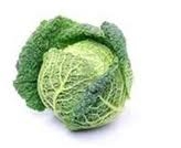 cabbage, Savoy-1