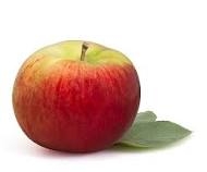apple, Cortland-1