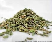 fenouil-graine-1