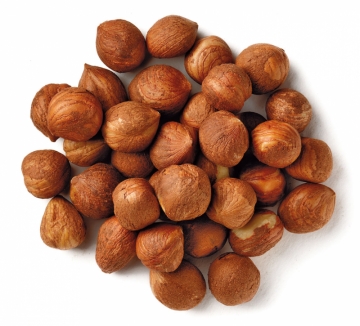 nut,hazelnut-1