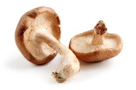 mushroom, shitake-1
