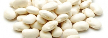 bean, white navy-1