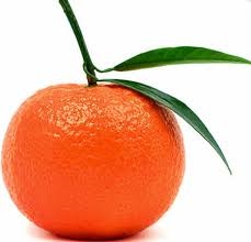 tangerine-1