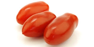 tomate italienne-1