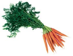 carotte avec feuilles-1