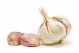 garlic, local-1