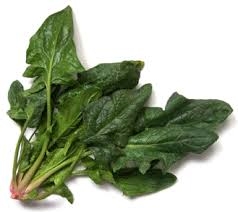 spinach-1