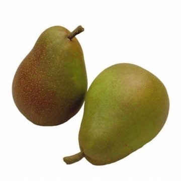 Pear, Alex Lucas-1