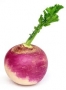 turnip (bag) 