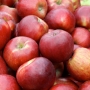 pomme, Empire (sac) 