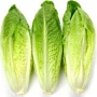 lettuce,  romaine hearts 