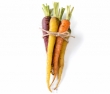 carotte nantaise, multicolore 