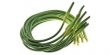 garlic scapes 
