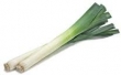 leek 