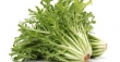 lettuce, chicory 