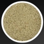 celery-salt 