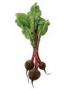beet with top 