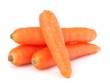 carrot (bagged 5) 