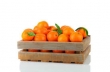 clementine (box) 