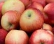 apple, Cortland (bagged) 