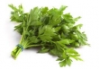 parsley, italian 