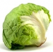 lettuce, Iceberg 