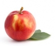 apple, Paula Red 